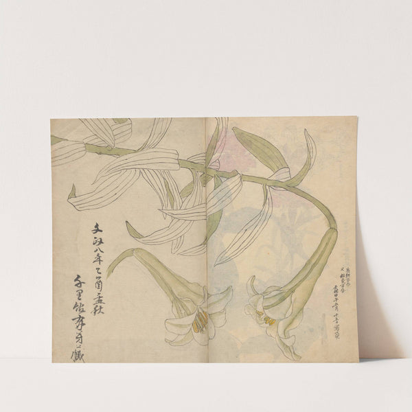 Sketchbook Pl.012 (1826-1840) by Ariyoshi Kondo