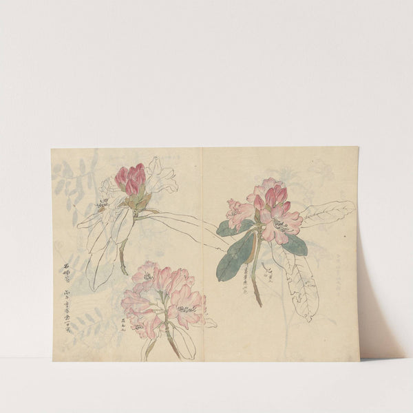 Sketchbook Pl.024 (1826-1840) by Ariyoshi Kondo