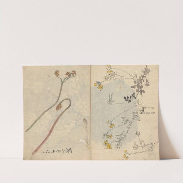 Sketchbook Pl.026 (1826-1840) by Ariyoshi Kondo