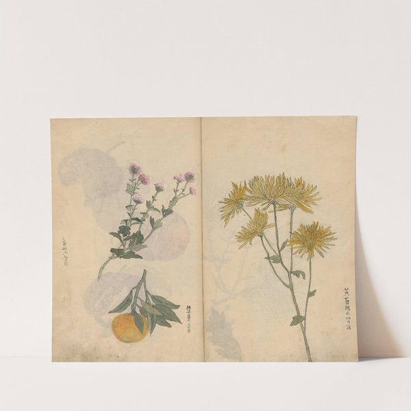 Sketchbook Pl.027 (1826-1840) by Ariyoshi Kondo