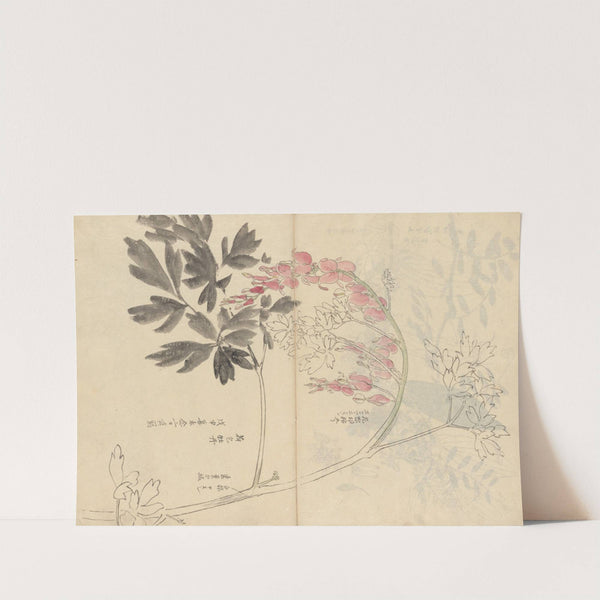Sketchbook Pl.028 (1826-1840) by Ariyoshi Kondo