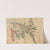 Sketchbook Pl.029 (1826-1840) by Ariyoshi Kondo