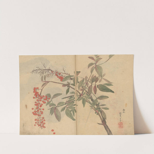 Sketchbook Pl.029 (1826-1840) by Ariyoshi Kondo