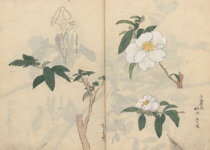 Sketchbook Pl.030 (1826-1840)