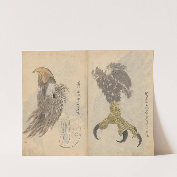 Sketchbook Pl.035 (1826-1840) by Ariyoshi Kondo