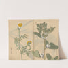Sketchbook Pl.036 (1826-1840) by Ariyoshi Kondo