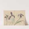 Sketchbook Pl.037 (1826-1840) by Ariyoshi Kondo