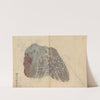 Sketchbook Pl.039 (1826-1840) by Ariyoshi Kondo