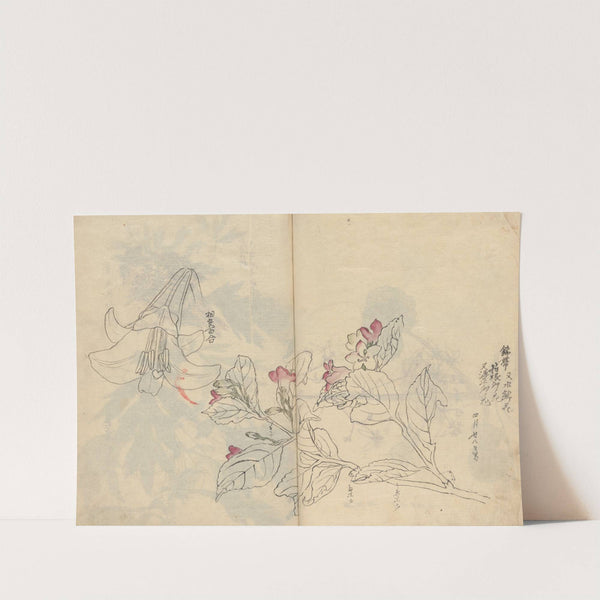 Sketchbook Pl.042 (1826-1840) by Ariyoshi Kondo