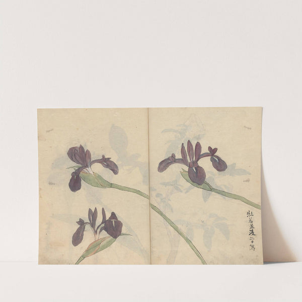 Sketchbook Pl.043 (1826-1840) by Ariyoshi Kondo