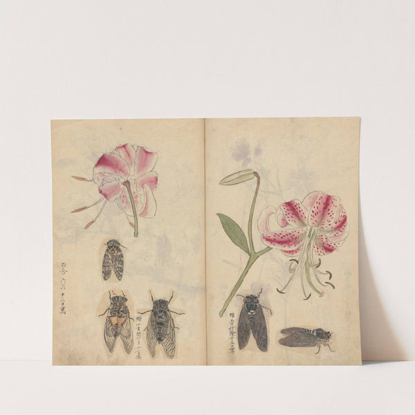 Sketchbook Pl.044 (1826-1840) by Ariyoshi Kondo
