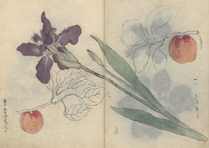 Sketchbook Pl.045 (1826-1840)