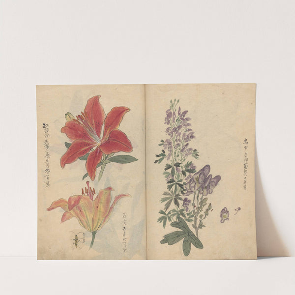 Sketchbook Pl.046 (1826-1840) by Ariyoshi Kondo