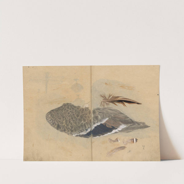 Sketchbook Pl.047 (1826-1840) by Ariyoshi Kondo