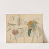 Sketchbook Pl.048 (1826-1840) by Ariyoshi Kondo