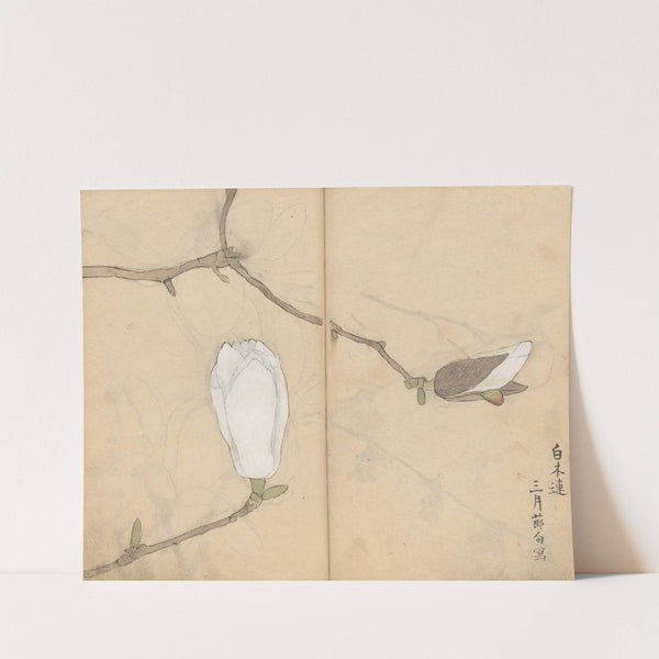 Sketchbook Pl.051 (1826-1840) by Ariyoshi Kondo
