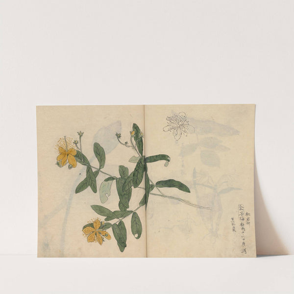 Sketchbook Pl.052 (1826-1840) by Ariyoshi Kondo