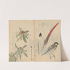 Sketchbook Pl.053 (1826-1840) by Ariyoshi Kondo