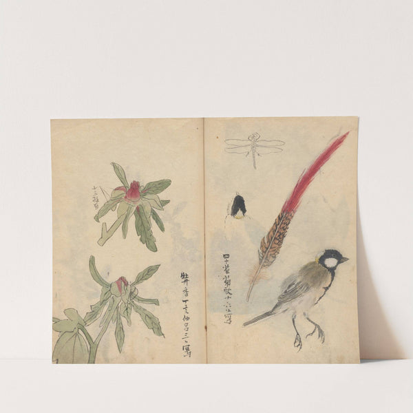 Sketchbook Pl.053 (1826-1840) by Ariyoshi Kondo