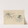 Sketchbook Pl.057 (1826-1840) by Ariyoshi Kondo