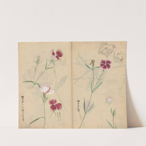 Sketchbook Pl.059 (1826-1840) by Ariyoshi Kondo
