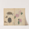 Sketchbook Pl.060 (1826-1840) by Ariyoshi Kondo
