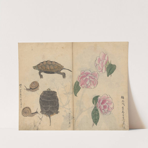 Sketchbook Pl.060 (1826-1840) by Ariyoshi Kondo