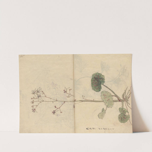 Sketchbook Pl.061 (1826-1840) by Ariyoshi Kondo