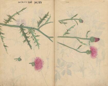 Sketchbook Pl.062 (1826-1840)