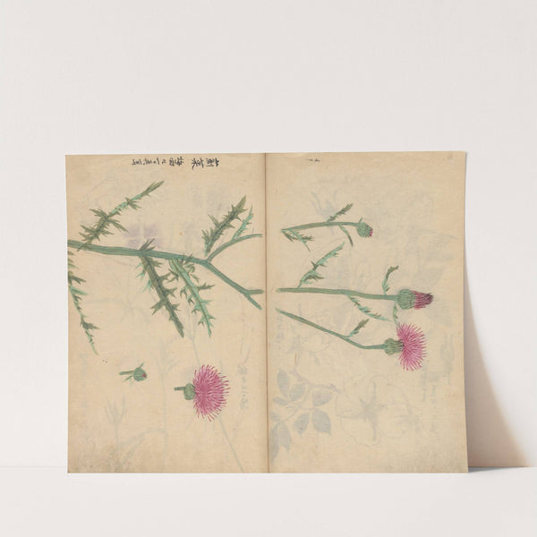 Sketchbook Pl.062 (1826-1840) by Ariyoshi Kondo