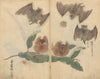 Sketchbook Pl.064 (1826-1840)
