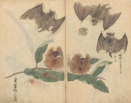 Sketchbook Pl.064 (1826-1840)