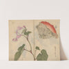 Sketchbook Pl.066 (1826-1840) by Ariyoshi Kondo