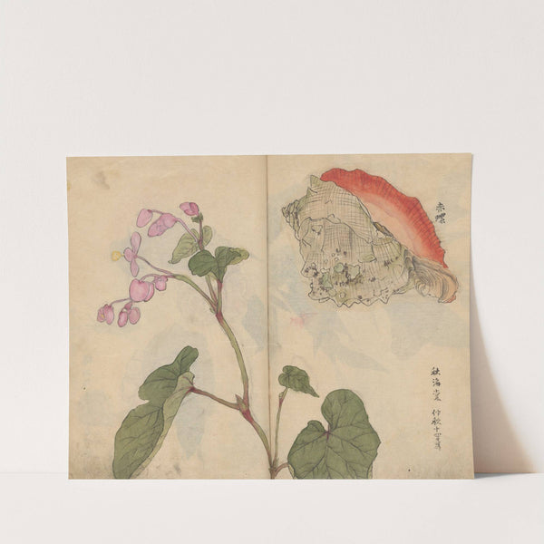 Sketchbook Pl.066 (1826-1840) by Ariyoshi Kondo