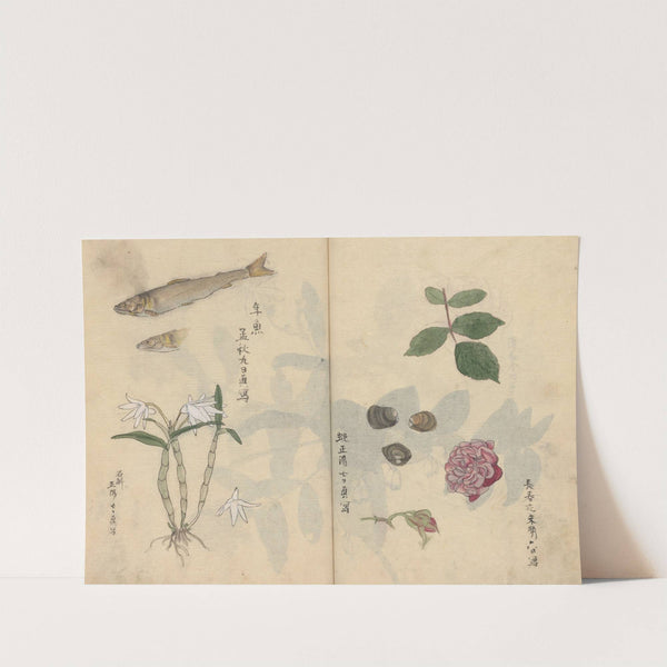 Sketchbook Pl.069 (1826-1840) by Ariyoshi Kondo