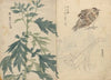 Sketchbook Pl.070 (1826-1840)