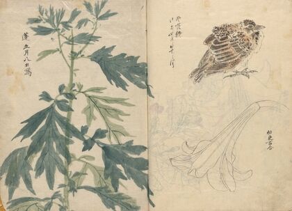 Sketchbook Pl.070 (1826-1840)