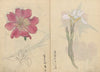 Sketchbook Pl.071 (1826-1840)