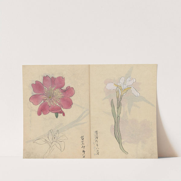 Sketchbook Pl.071 (1826-1840) by Ariyoshi Kondo