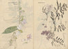 Sketchbook Pl.072 (1826-1840)