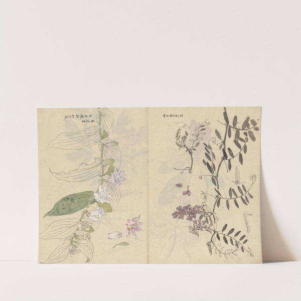 Sketchbook Pl.072 (1826-1840) by Ariyoshi Kondo