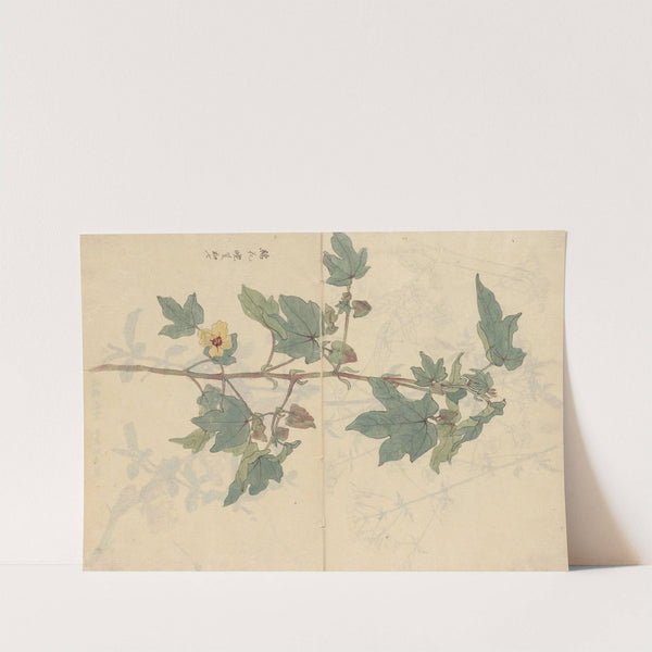 Sketchbook Pl.075 (1826-1840) by Ariyoshi Kondo