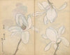 Sketchbook Pl.077 (1826-1840)