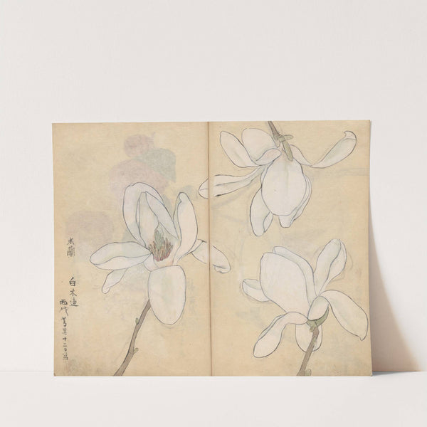 Sketchbook Pl.077 (1826-1840) by Ariyoshi Kondo