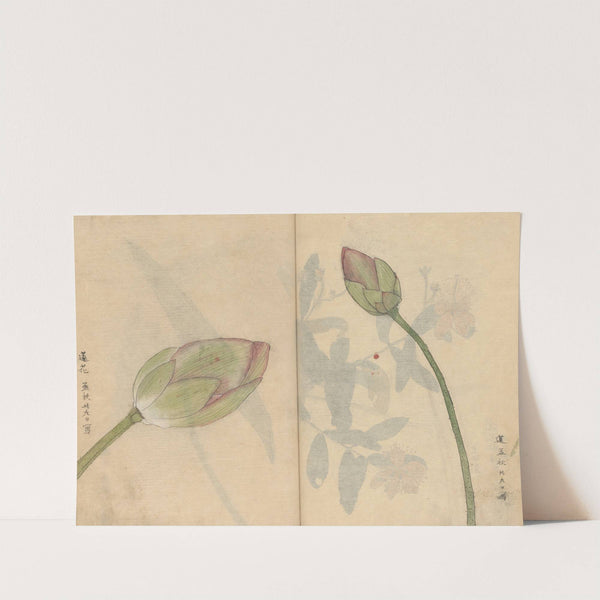 Sketchbook Pl.078 (1826-1840) by Ariyoshi Kondo