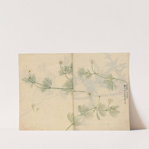 Sketchbook Pl.079 (1826-1840) by Ariyoshi Kondo
