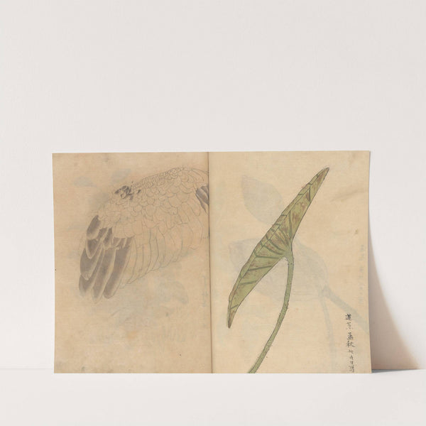Sketchbook Pl.084 (1826-1840) by Ariyoshi Kondo