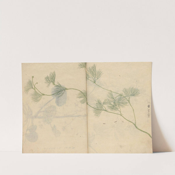 Sketchbook Pl.089 (1826-1840) by Ariyoshi Kondo