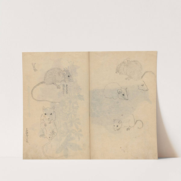 Sketchbook Pl.092 (1826-1840) by Ariyoshi Kondo