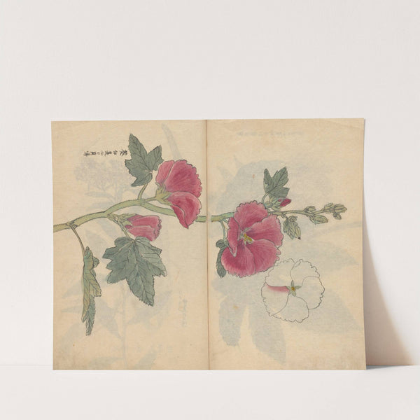 Sketchbook Pl.097 (1826-1840) by Ariyoshi Kondo